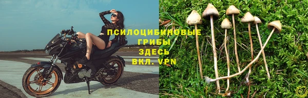 метамфетамин Лагань