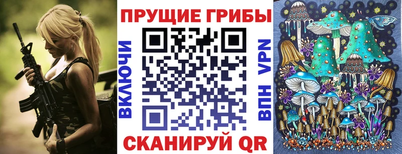 Купить  Мариинский Посад  Псилоцибиновые грибы Cubensis 